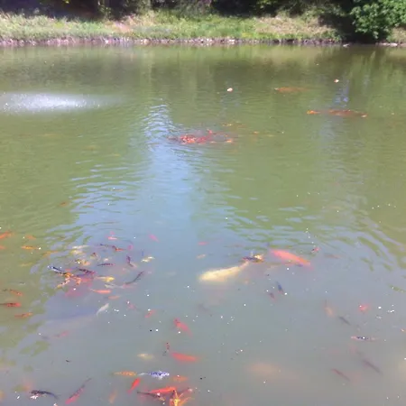 Chateau Marieville 4*