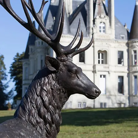 Chateau Marieville Guest house Bonneuil-Matours