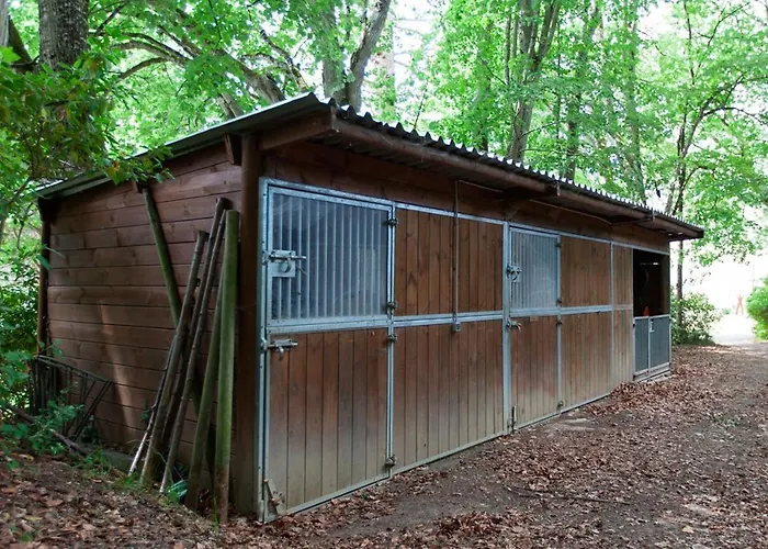 Chateau Marieville Pensión Bonneuil-Matours